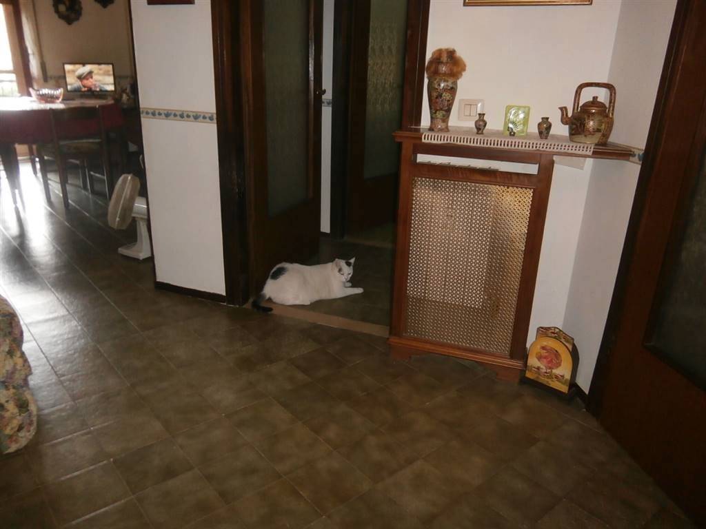 Appartamento a Mortara - Foto 5