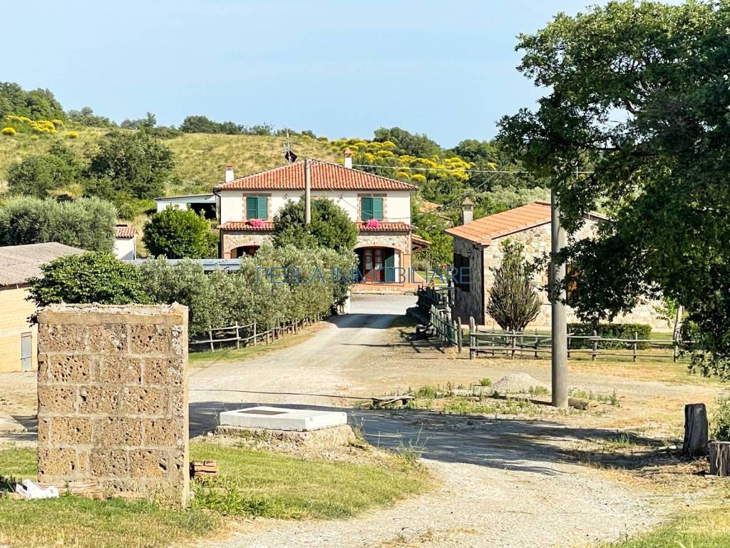 Rustico / casale a Scansano - Foto 3