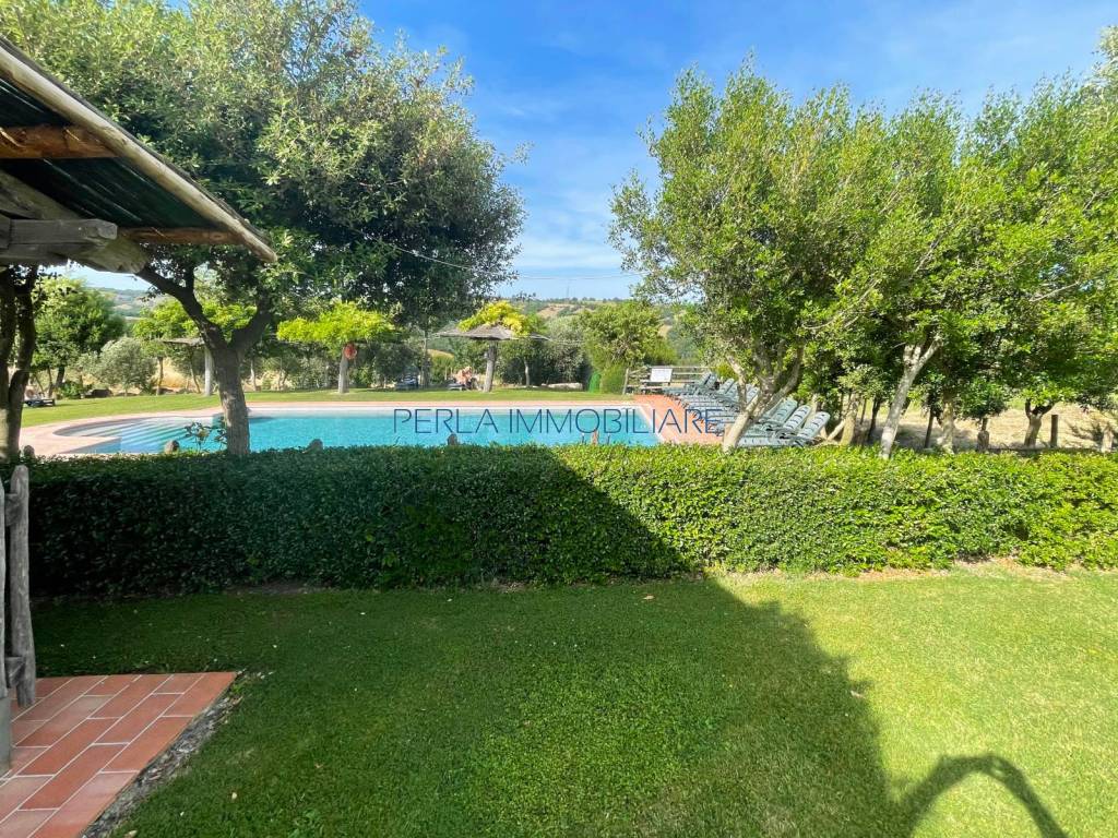 Rustico / casale a Scansano - Foto 4