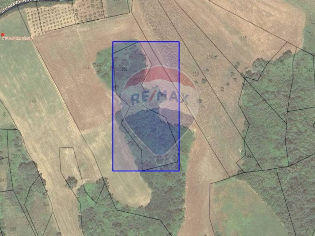 Terreno a Fara filiorum petri in via colle San Donato - Foto 4