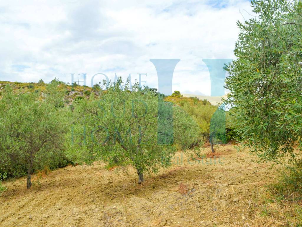 Rustico / casale a Noto - Foto 4
