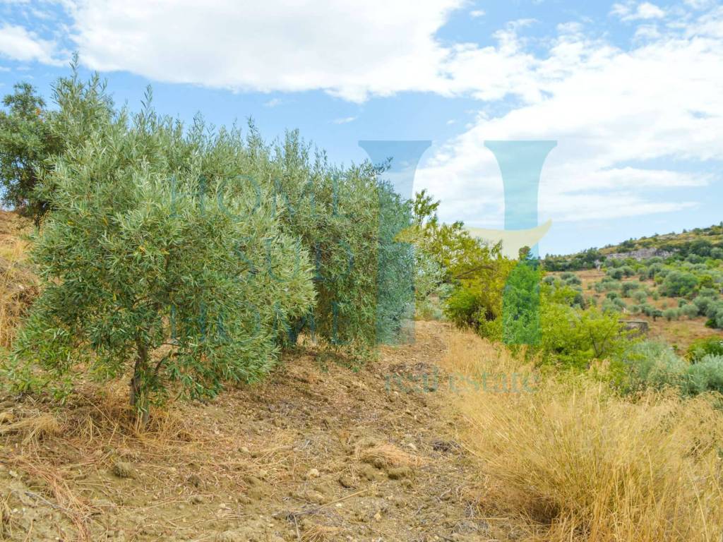 Rustico / casale a Noto - Foto 5