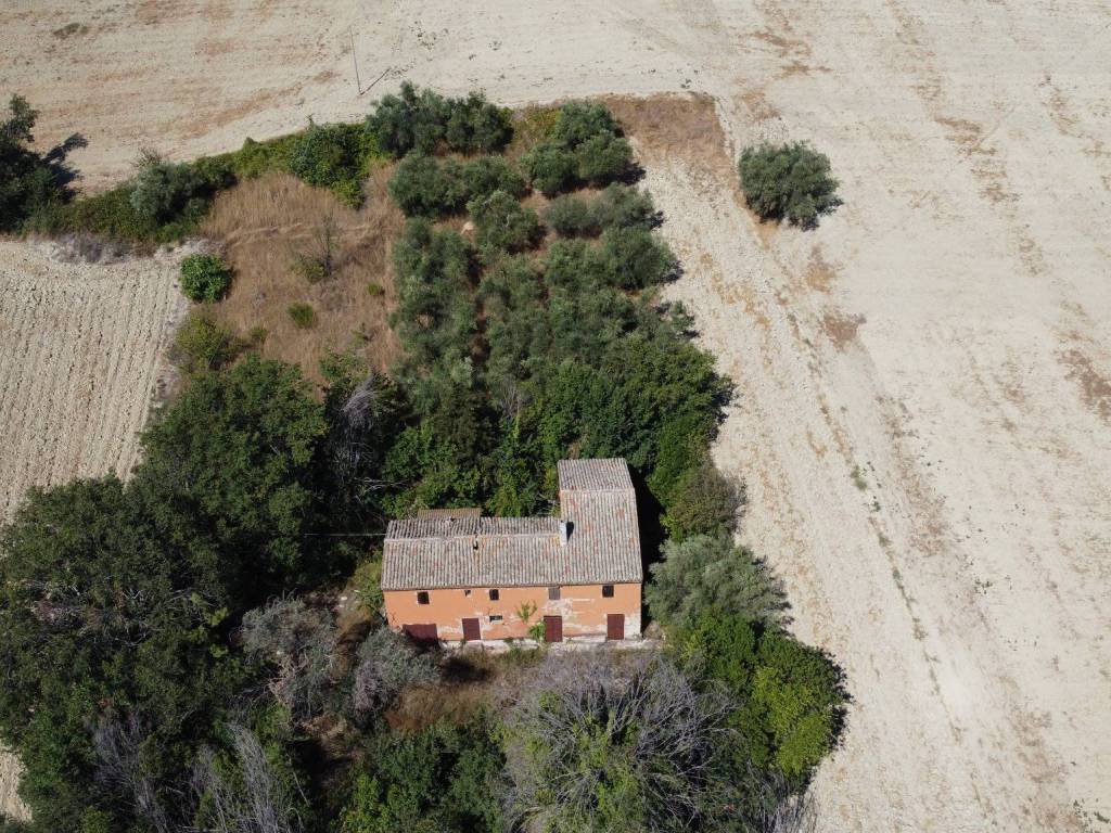 Rustico / casale a Senigallia in Strada delle Fontanelle, 54 - Foto 2