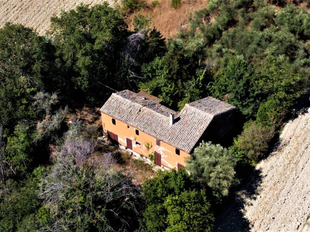 Rustico / casale a Senigallia in Strada delle Fontanelle, 54 - Foto 3
