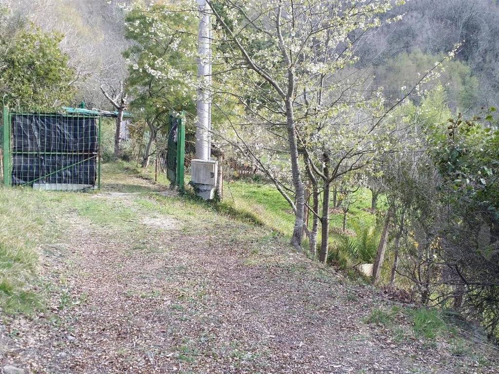 Terreno a Alassio - Foto 2