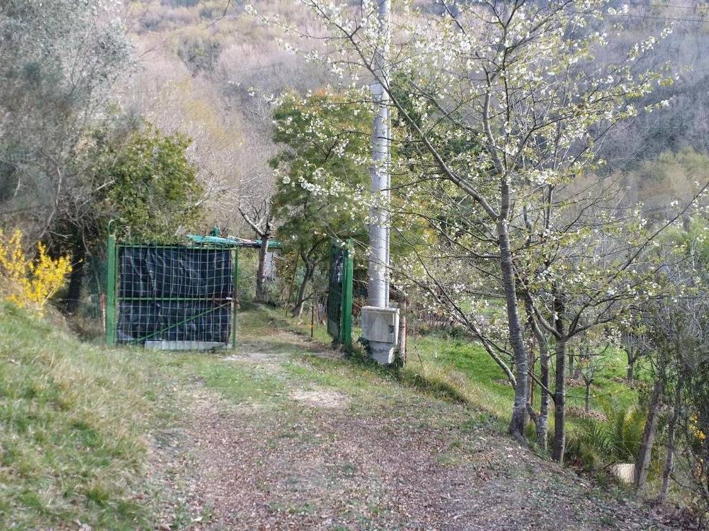 Terreno a Alassio - Foto 3