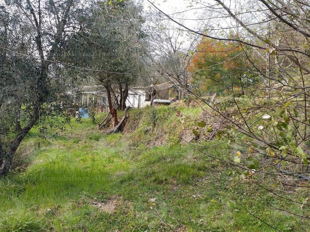 Terreno a Alassio - Foto 4
