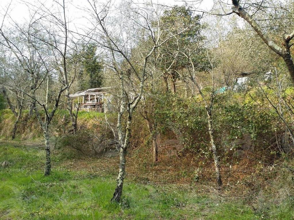 Terreno a Alassio - Foto 5