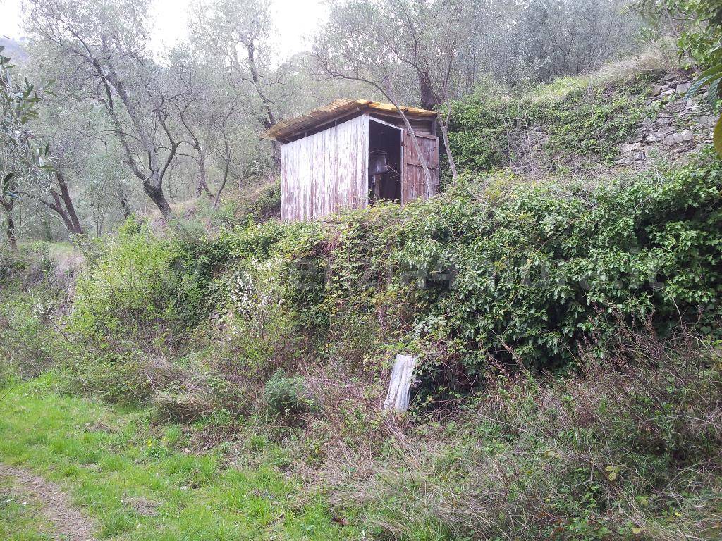 Terreno a Alassio - Foto 2