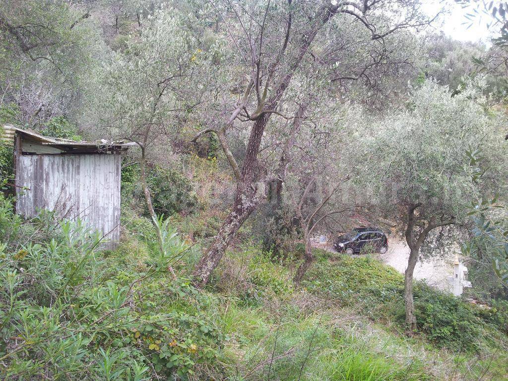 Terreno a Alassio - Foto 5
