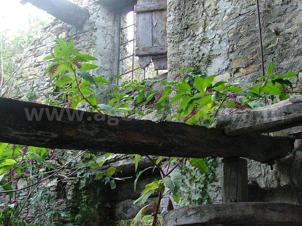 Rustico / casale a Stellanello in Via Provinciale, 14 - Foto 3