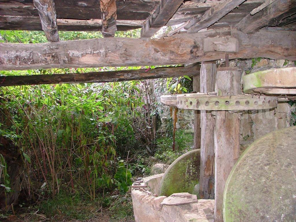 Rustico / casale a Stellanello in Via Provinciale, 14 - Foto 5