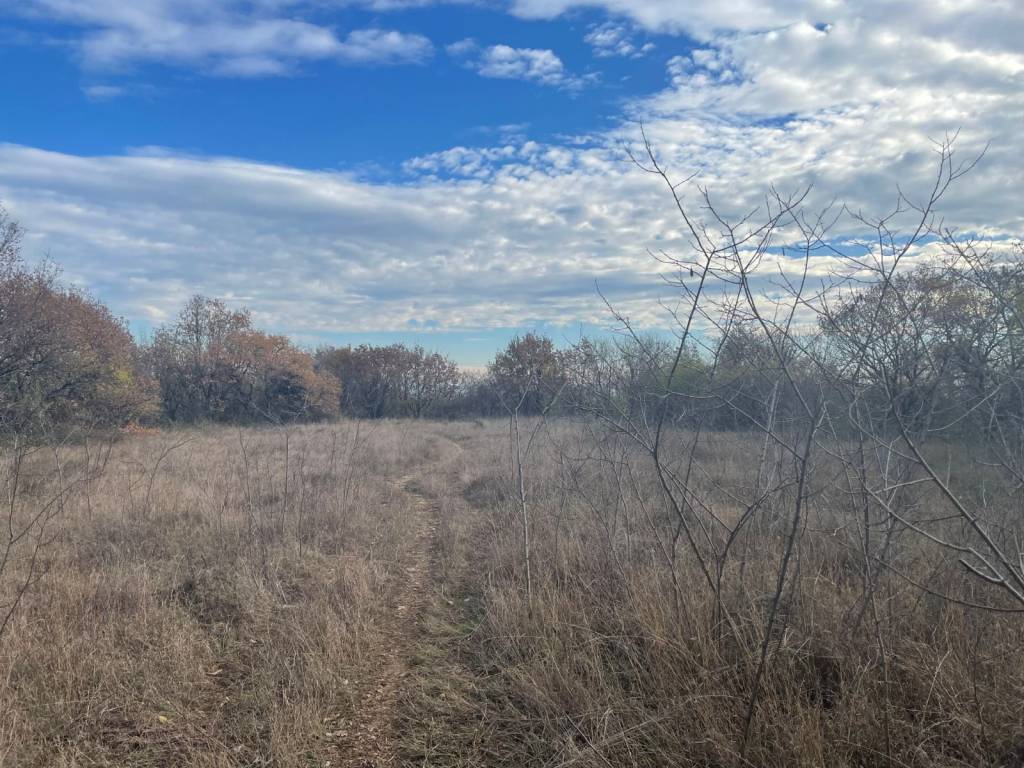 Terreno a Bussolengo in Strada Vicinale Bassa Tachetta - Foto 2