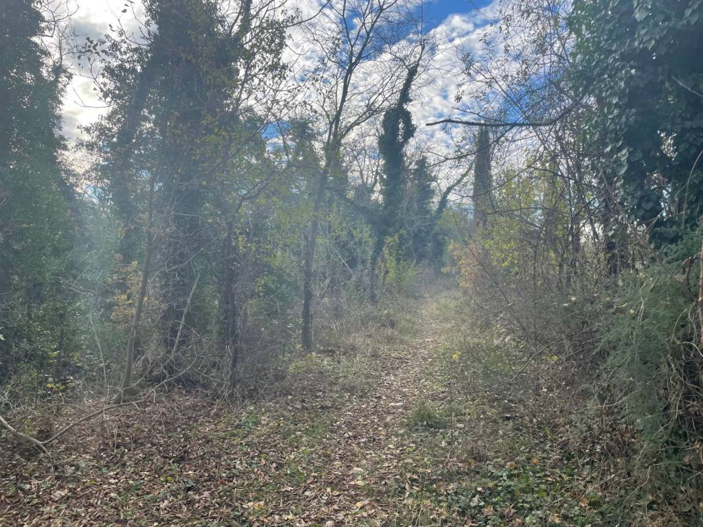 Terreno a Bussolengo in Strada Vicinale Bassa Tachetta - Foto 4