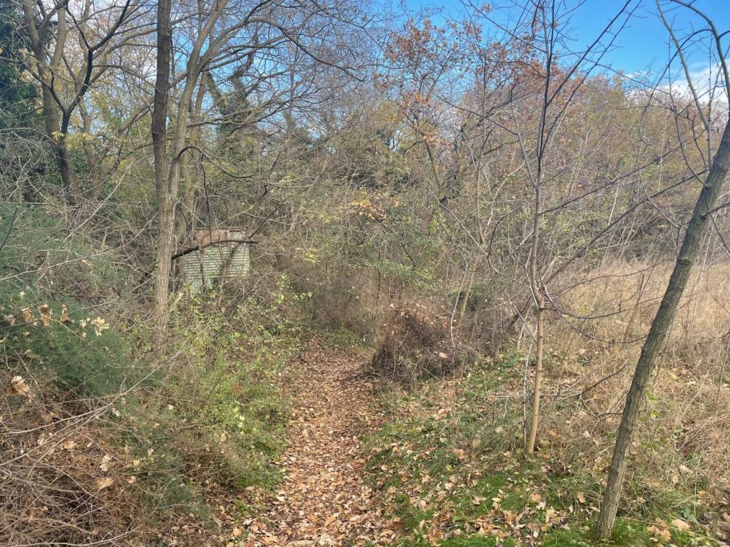 Terreno a Bussolengo in Strada Vicinale Bassa Tachetta - Foto 5
