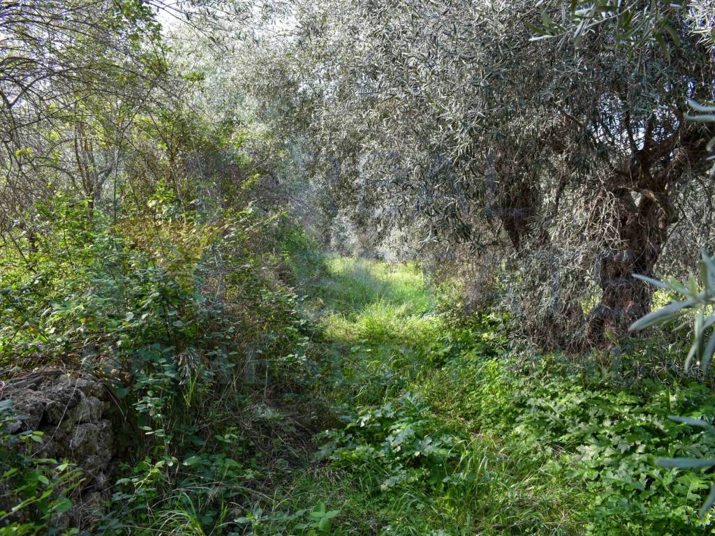 Villa a Noto in Via Tommaso Fazello, 228 - Foto 5
