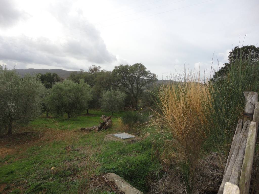 Terreno a Magliano in toscana in Strada Provinciale Poggio la Mozza - Foto 4