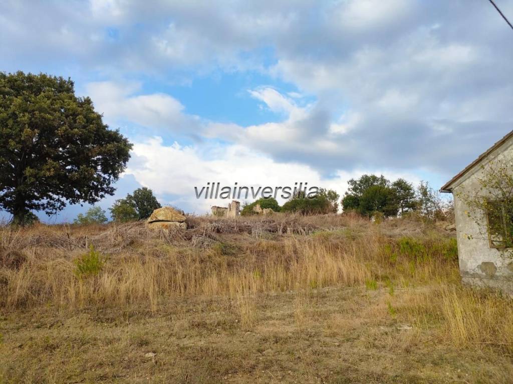 Terreno a Roccalbegna - Foto 4