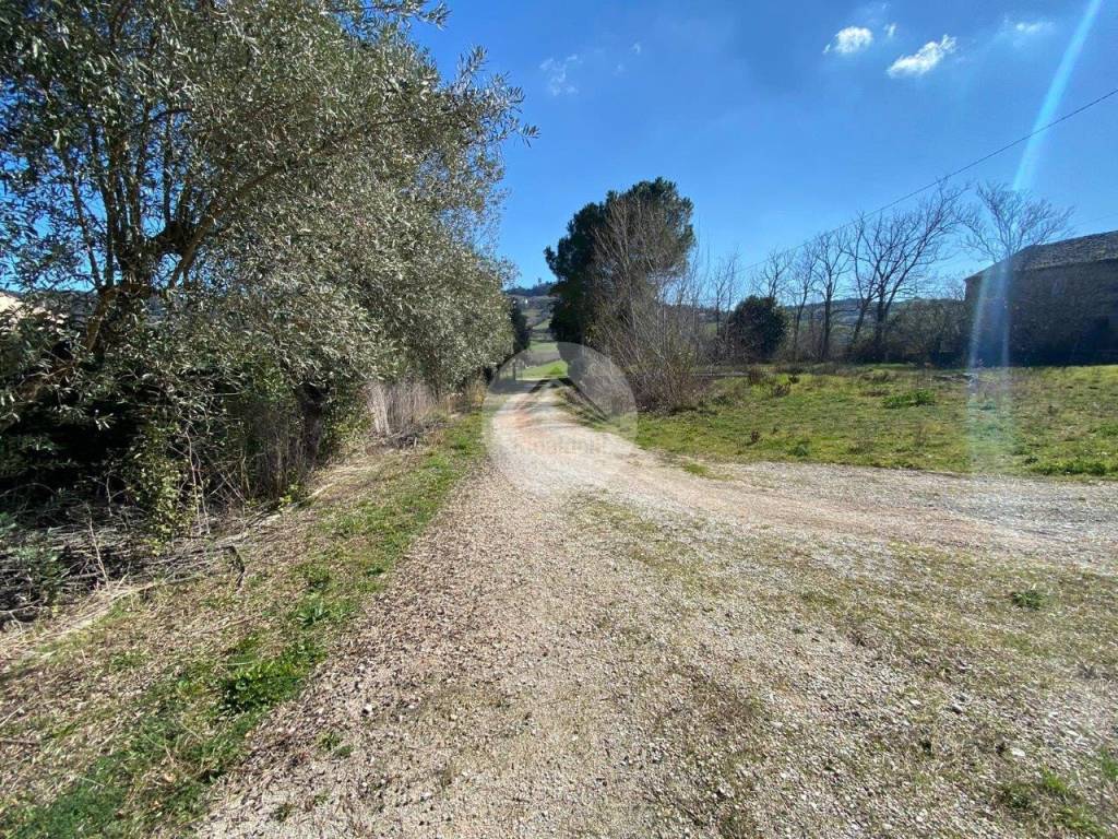 Rustico / casale a Sant'elpidio a mare in Strada Mostrapiedi 1 - Foto 2