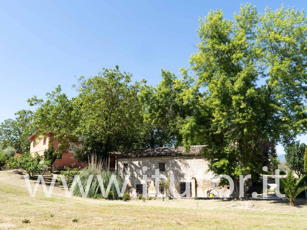 Rustico / casale a Alanno in Via Torrente Cigno - Foto 4