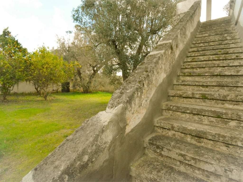 Rustico / casale a Latiano - Foto 3