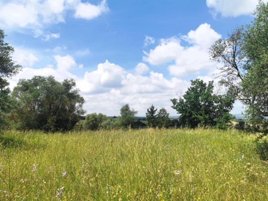 Terreno a Vitorchiano in Strada dei Galli - Foto 2