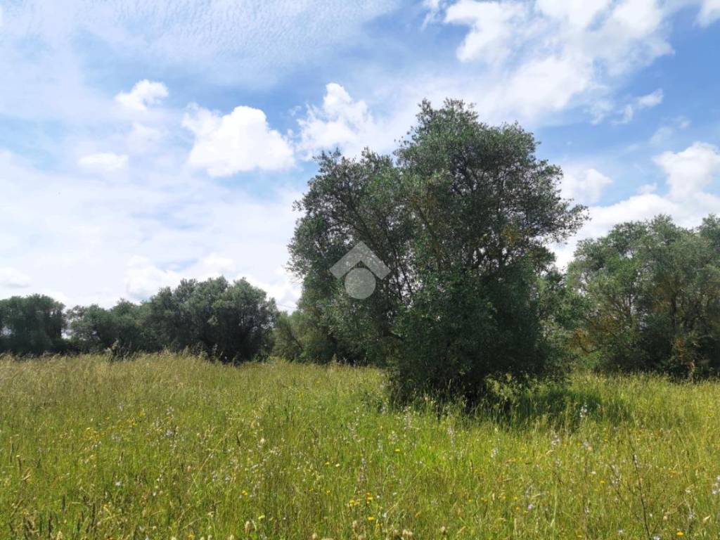 Terreno a Vitorchiano in Strada dei Galli - Foto 5