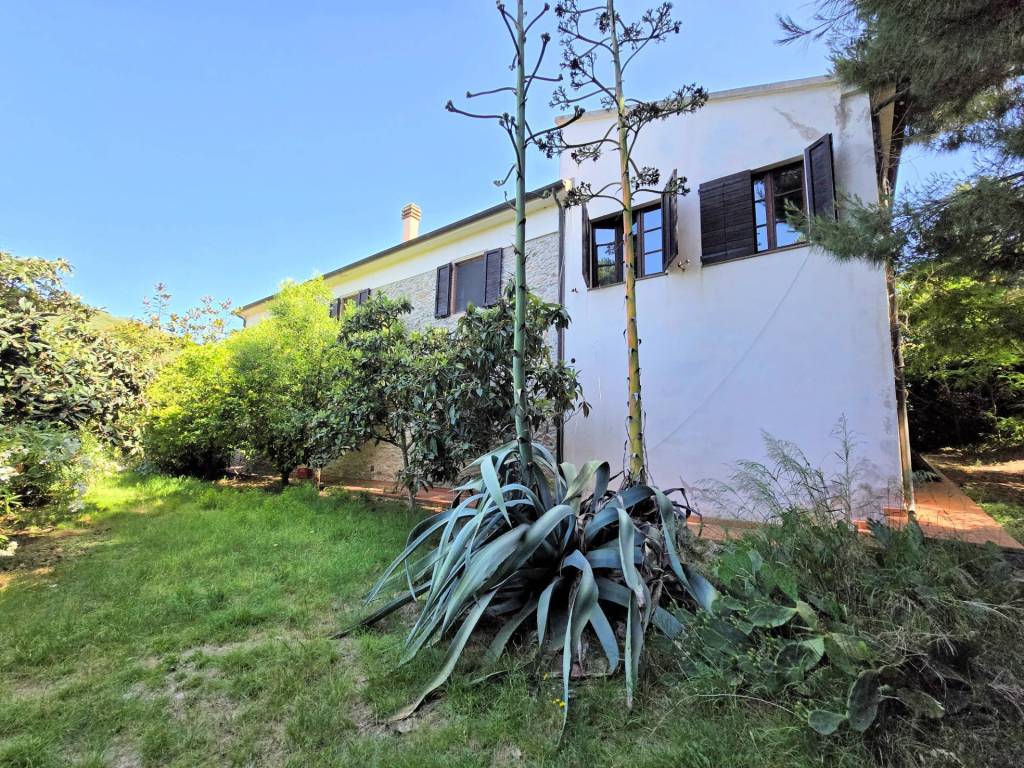 Rustico / casale a Campiglia marittima - Foto 5