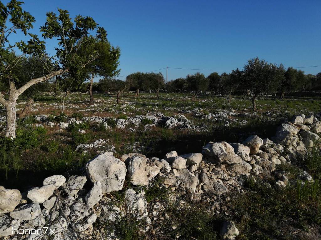 Terreno a Lizzanello in Case Sparse Porelle - Foto 4