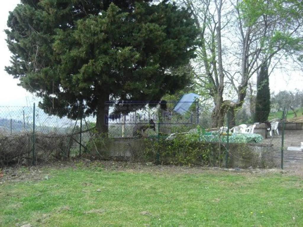 Rustico / casale a Rufina in Castiglione Rufina - Foto 4