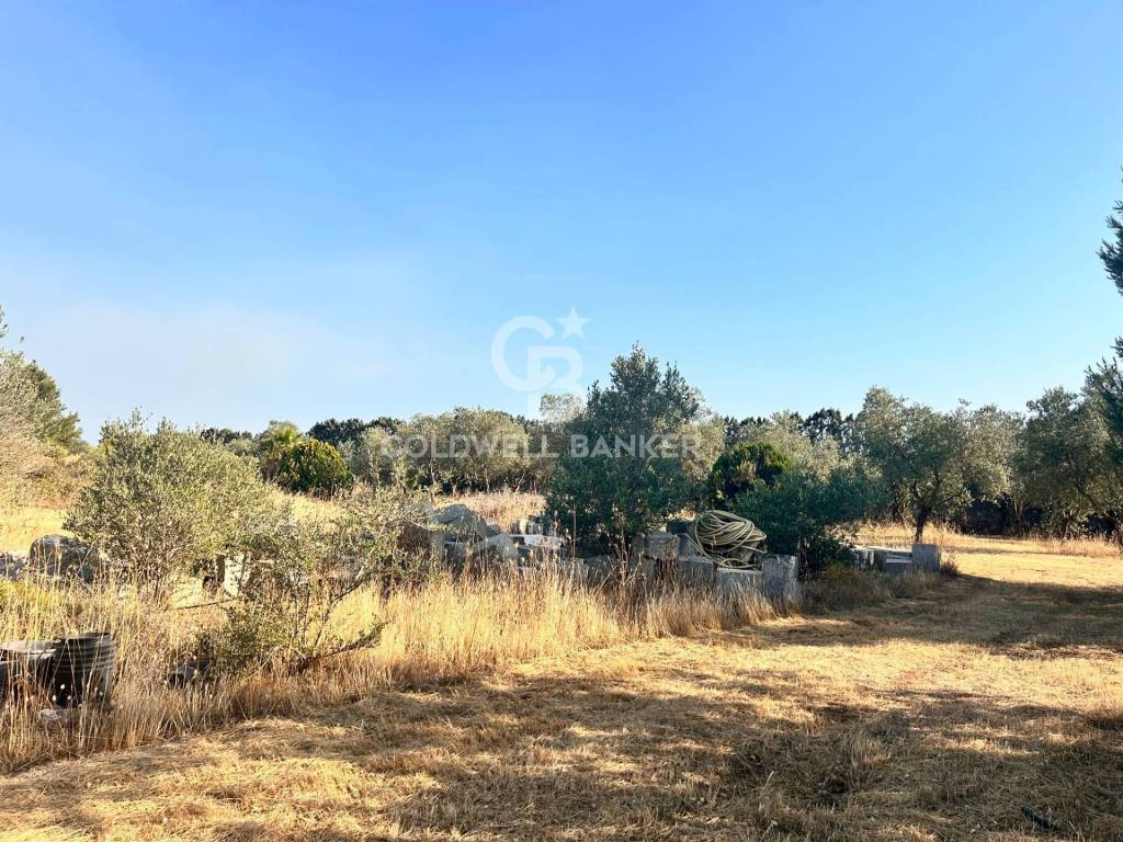 Terreno a Corigliano d'otranto in Località Montano - Foto 4