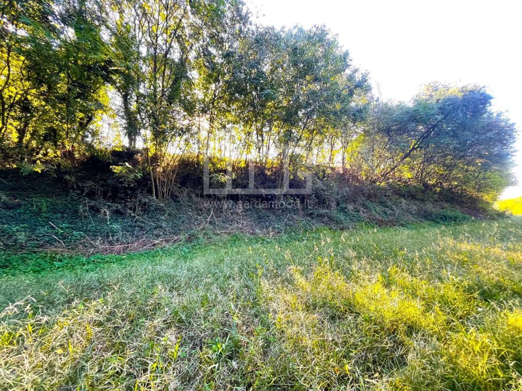Terreno a Volta mantovana in via dei bosche, 20 - Foto 3