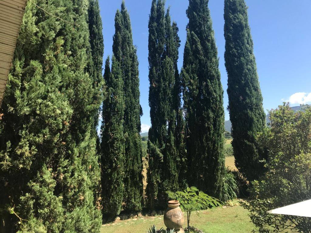 Villa a Massa martana - Foto 4