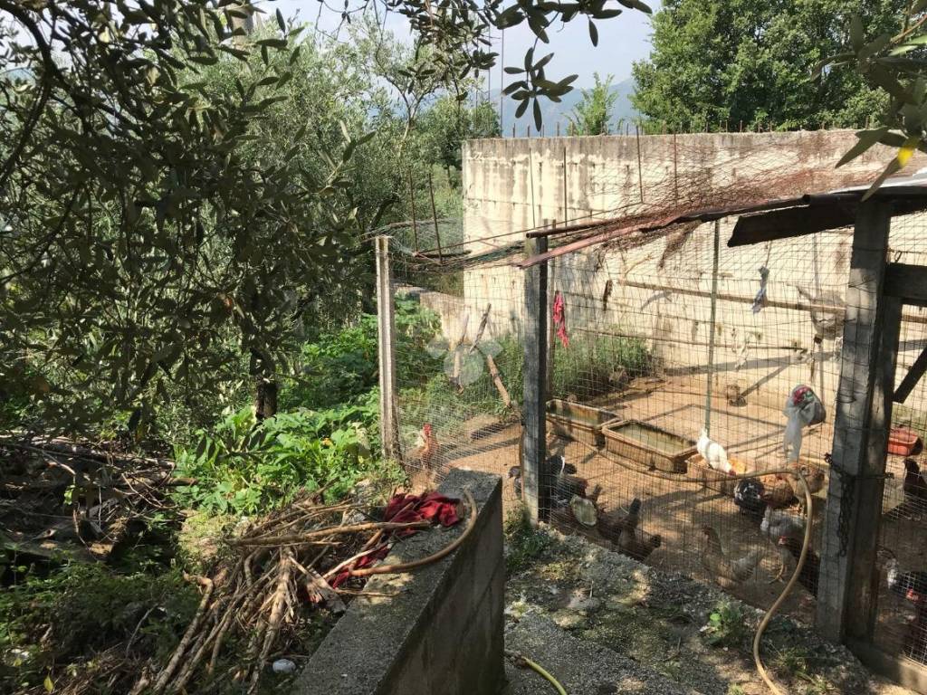 Casa indipendente a Sant'agata de' goti in frazione Presta - Foto 3