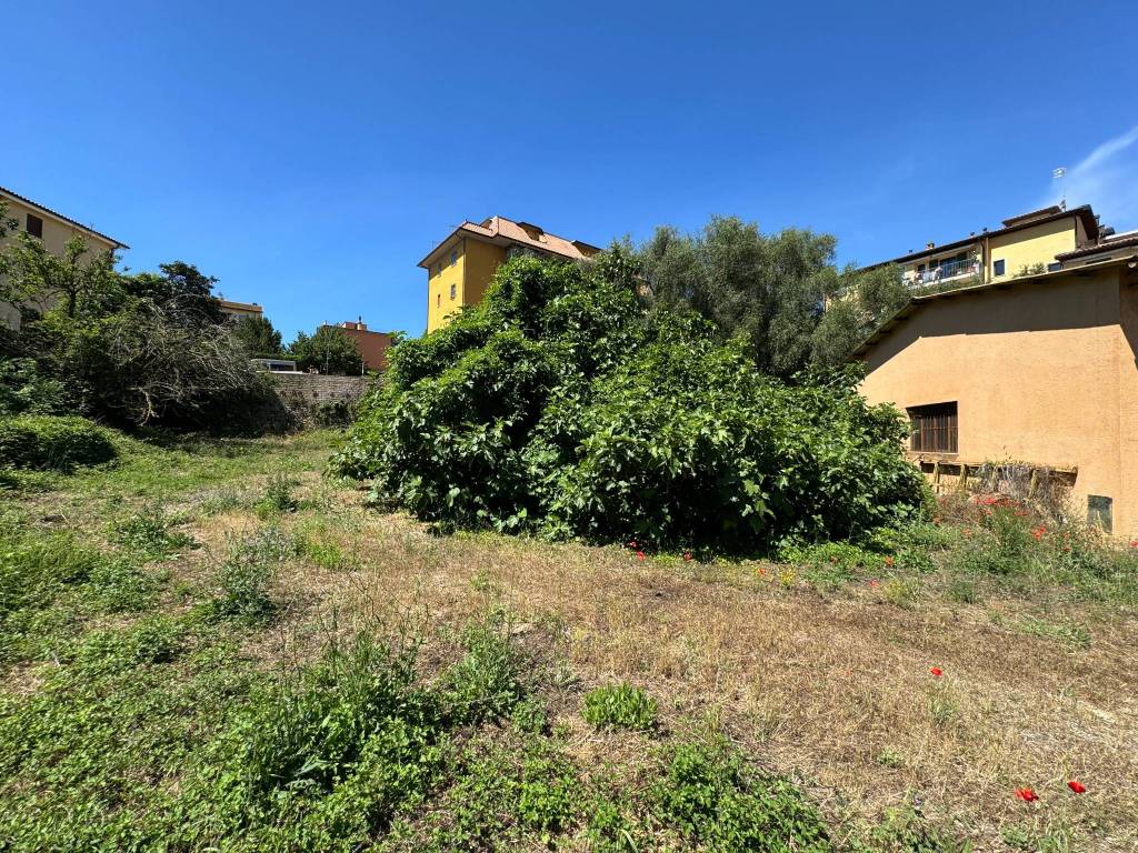 Terreno a Capalbio in Via del Cutignolo, 1 - Foto 5
