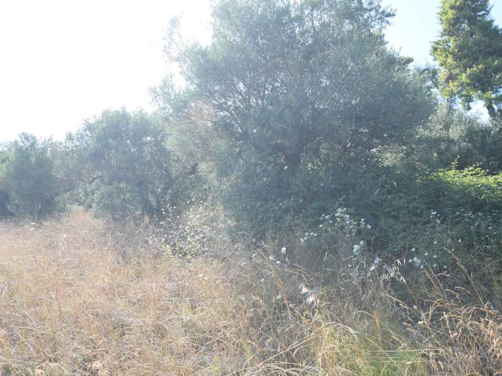 Appartamento a Città sant'angelo in via del Cimitero - Foto 5