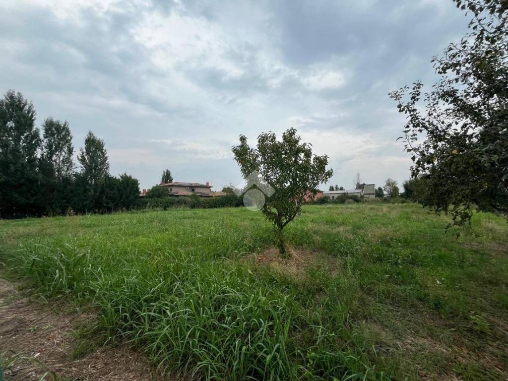 Terreno a San giorgio bigarello in Via P. Togliatti - Foto 4