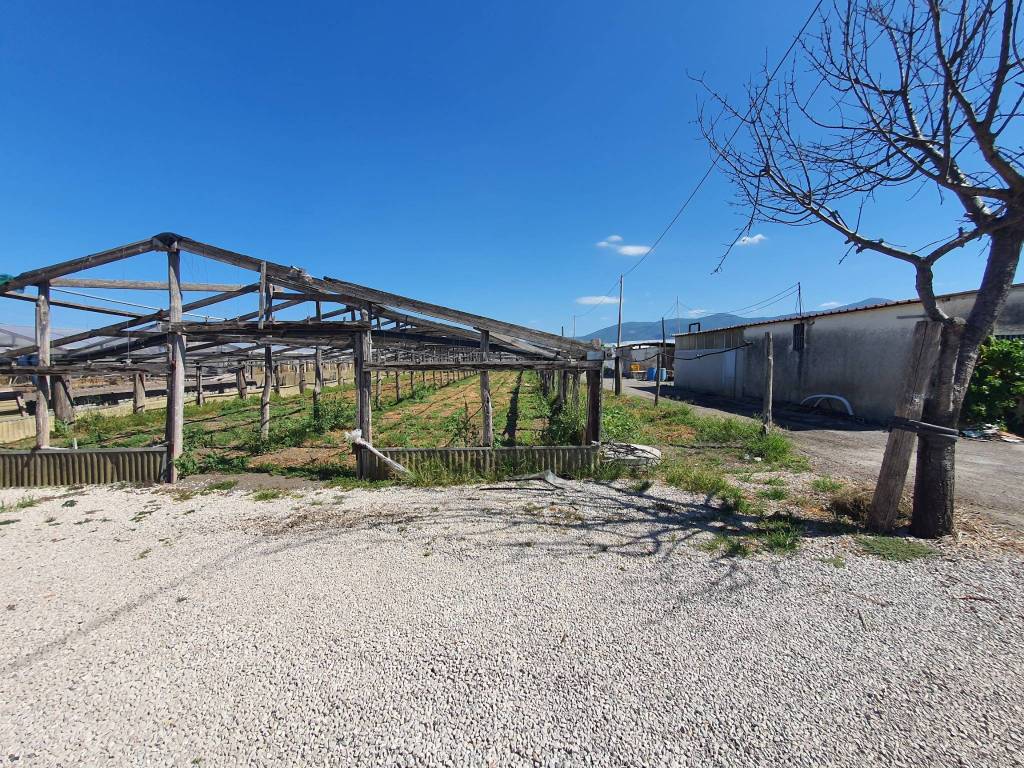 Terreno a Boscoreale in Via Alfredo Quinto - Foto 2