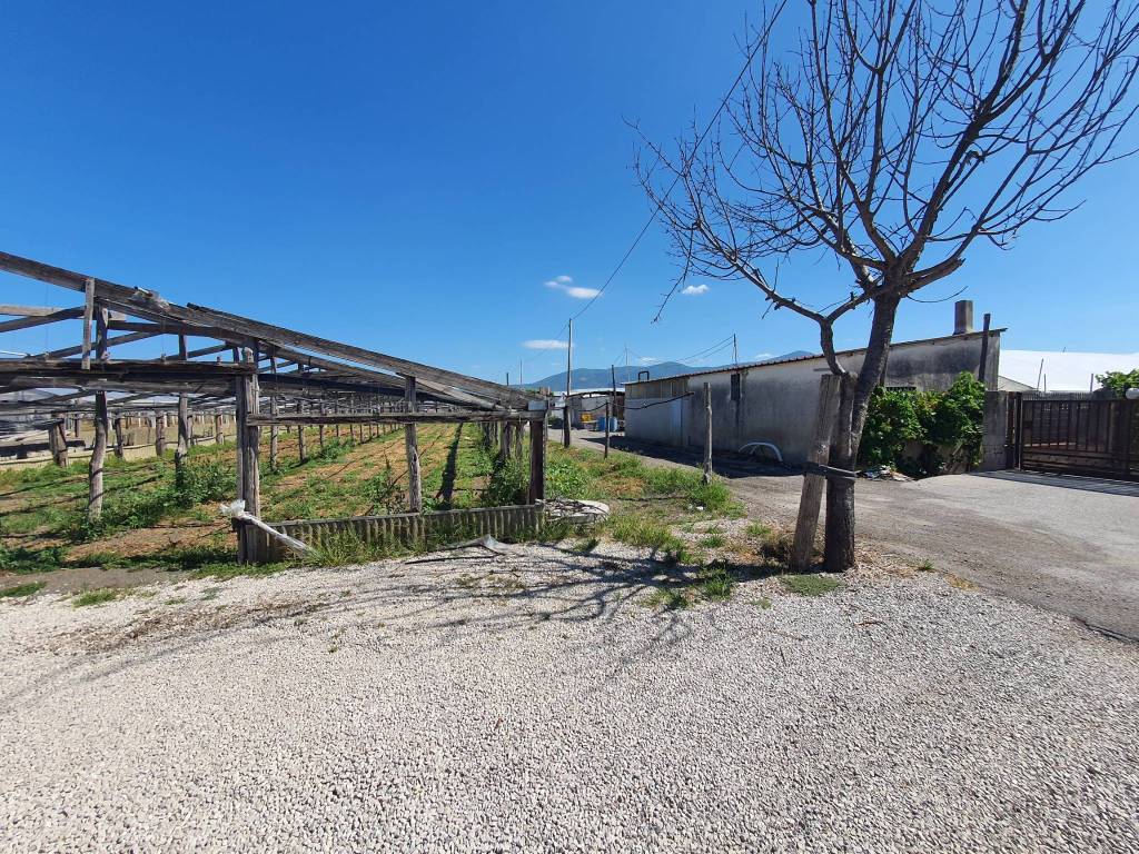 Terreno a Boscoreale in Via Alfredo Quinto - Foto 3