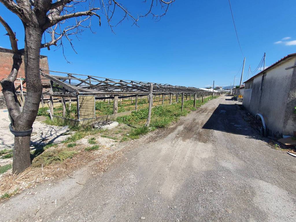 Terreno a Boscoreale in Via Alfredo Quinto - Foto 5