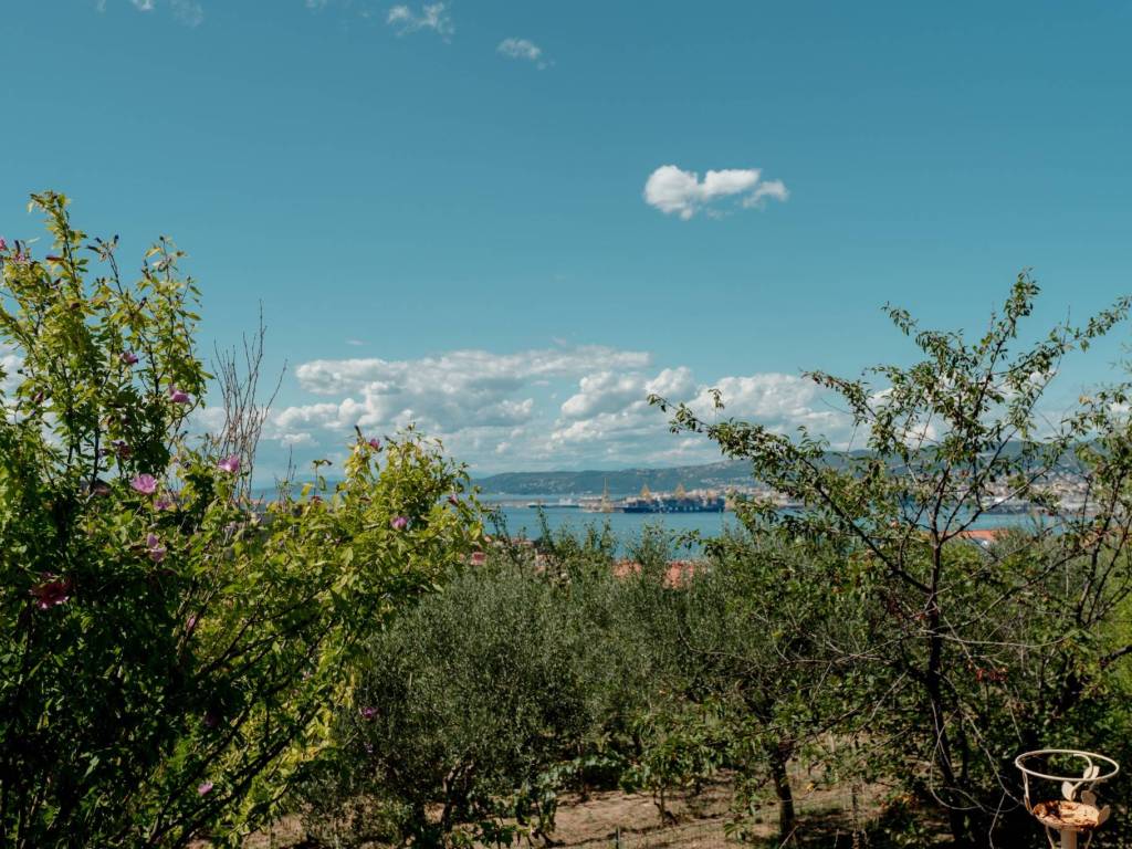 Villa a Muggia in Via di Santa Barbara - Foto 5