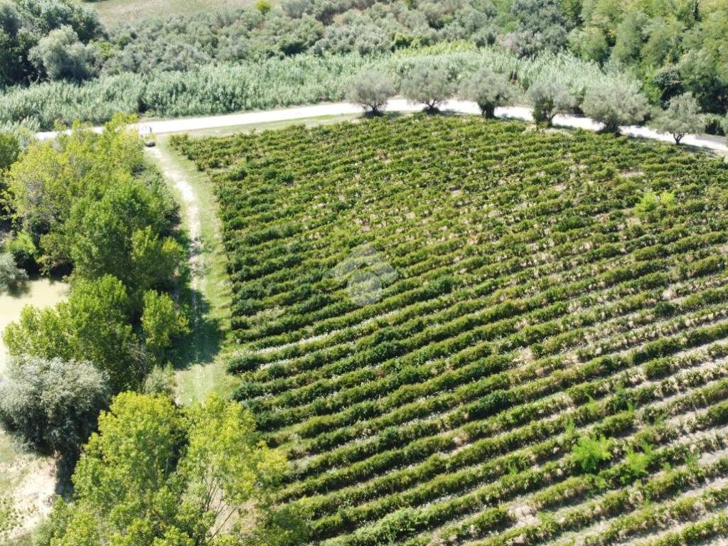 Terreno a Giulianova in Via del Campetto - Foto 5