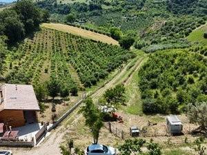 Villa a Notaresco in località capracchia - Foto 4