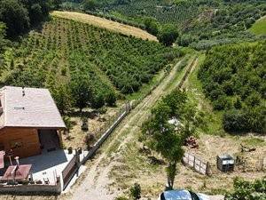 Villa a Notaresco in località capracchia - Foto 5