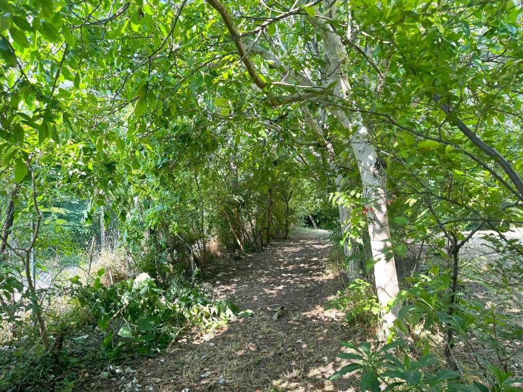Rustico / casale a San bonifacio in Via Villabella - Foto 3