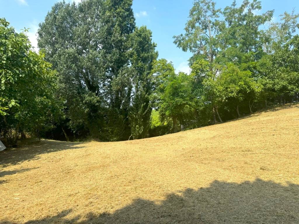 Rustico / casale a San bonifacio in Via Villabella - Foto 5