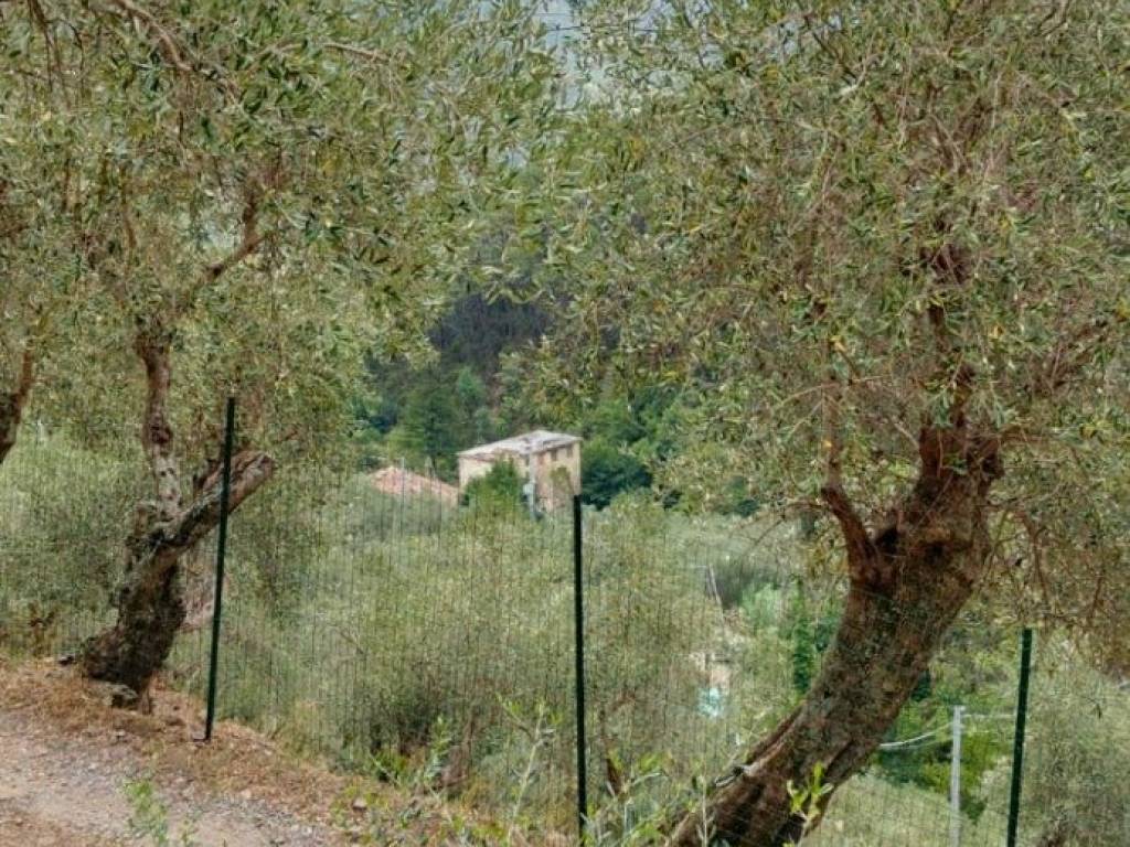 Rustico / casale a Calci in Via di Santa Lucia - Foto 2