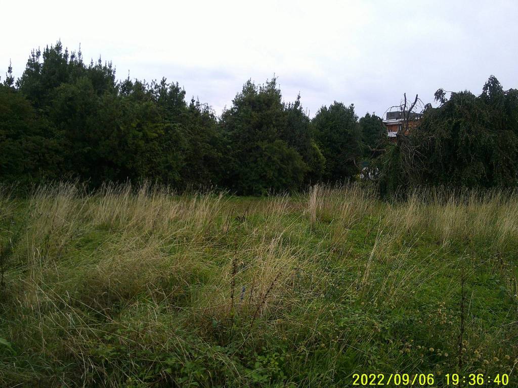 Terreno a Torre boldone - Foto 5