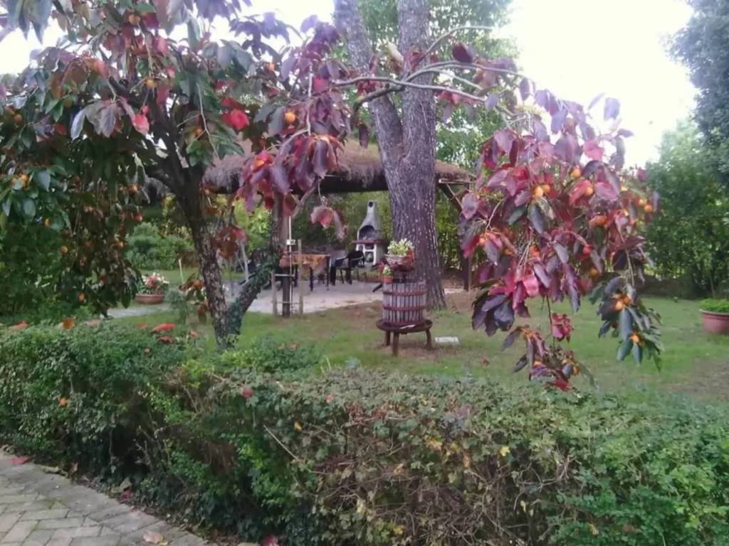 Villa a Foiano della chiana in Via di Sinalunga - Foto 5