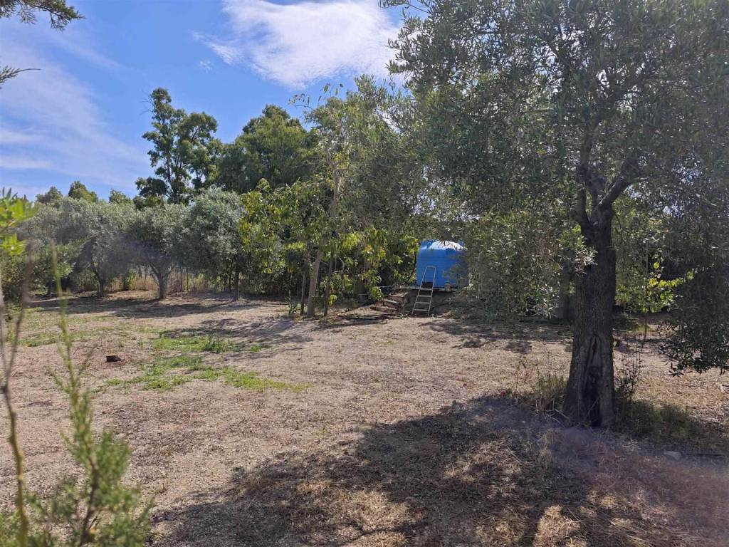 Terreno a Bari sardo - Foto 5